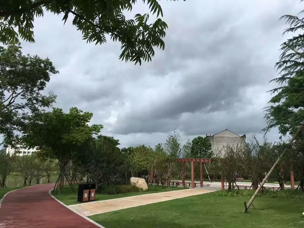 1550899157572925.jpg 111.jpg